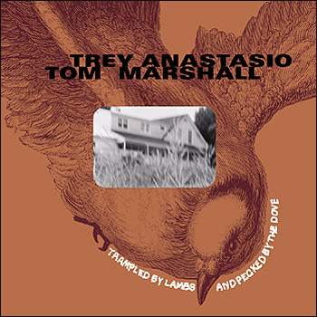 Trampled by Lambs & Pecked by the Dove | Trey Anastasio